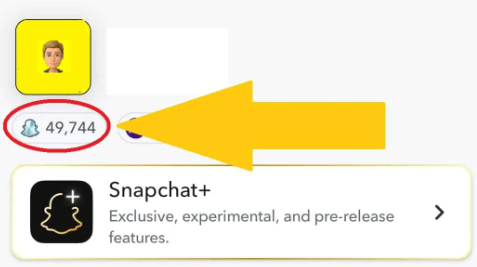 check-if-someone-is-active-on-snapchat-by-snap-socre