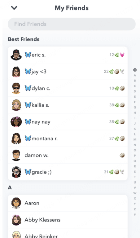 snapchat friend list