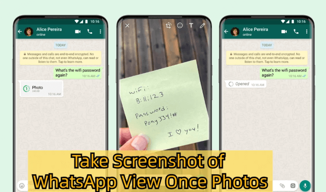 take a screenshot of WhatsApp view once