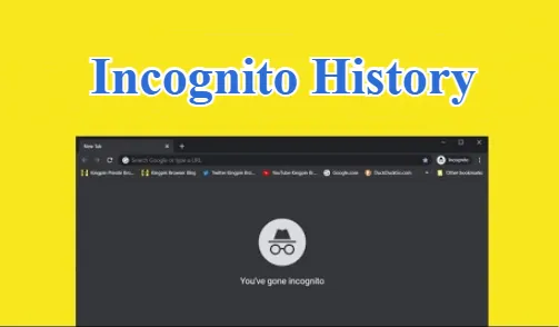How to View  and Delete Incognito History in 2025