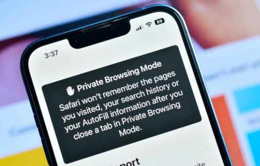 view private browsing history on iPhone