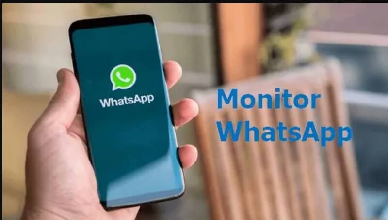 monitor whatsapp