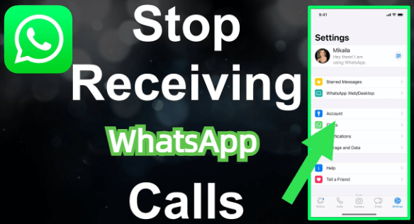 Stop Receiving Calls on WhatsApp